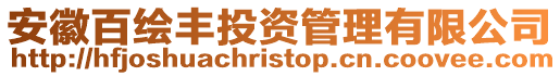 安徽百繪豐投資管理有限公司