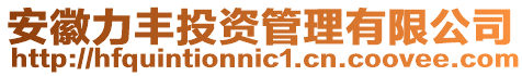 安徽力豐投資管理有限公司