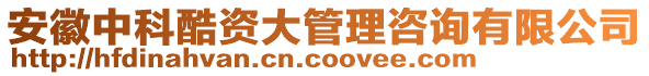 安徽中科酷資大管理咨詢有限公司