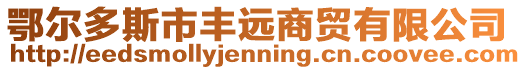 鄂爾多斯市豐遠商貿(mào)有限公司