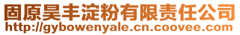 固原昊豐淀粉有限責任公司