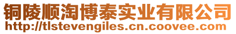 銅陵順淘博泰實業有限公司