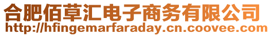 合肥佰草匯電子商務(wù)有限公司