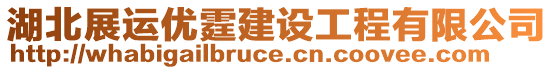 湖北展運(yùn)優(yōu)霆建設(shè)工程有限公司