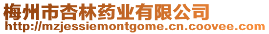 梅州市杏林藥業(yè)有限公司