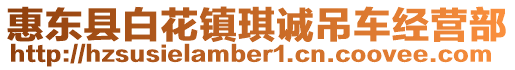 惠東縣白花鎮(zhèn)琪誠吊車經(jīng)營部