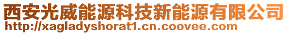 西安光威能源科技新能源有限公司