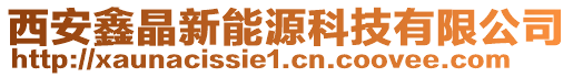 西安鑫晶新能源科技有限公司