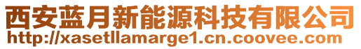 西安藍(lán)月新能源科技有限公司