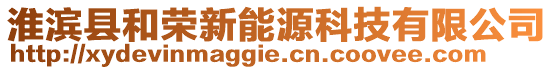 淮濱縣和榮新能源科技有限公司