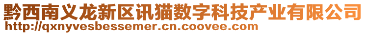 黔西南義龍新區(qū)訊貓數(shù)字科技產(chǎn)業(yè)有限公司