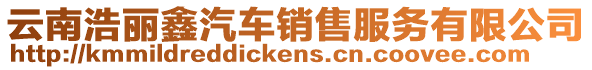 云南浩麗鑫汽車銷售服務有限公司