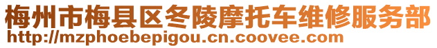 梅州市梅縣區(qū)冬陵摩托車(chē)維修服務(wù)部