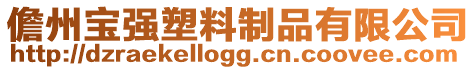 儋州寶強(qiáng)塑料制品有限公司