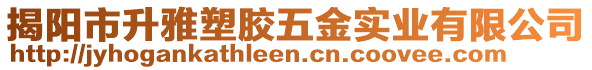 揭陽市升雅塑膠五金實(shí)業(yè)有限公司