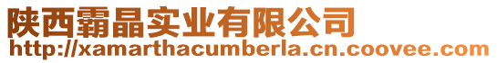陜西霸晶實業有限公司