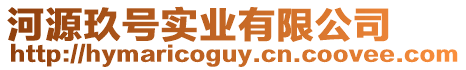 河源玖號實業有限公司