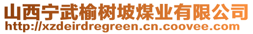 山西寧武榆樹坡煤業(yè)有限公司