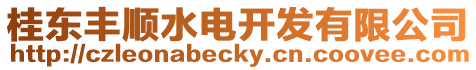 桂東豐順?biāo)婇_發(fā)有限公司