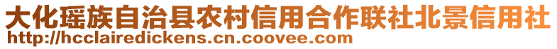 大化瑤族自治縣農(nóng)村信用合作聯(lián)社北景信用社