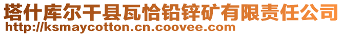 塔什庫爾干縣瓦恰鉛鋅礦有限責(zé)任公司