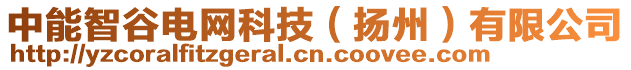 中能智谷電網(wǎng)科技（揚州）有限公司