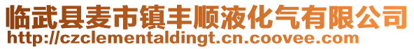 臨武縣麥市鎮(zhèn)豐順液化氣有限公司