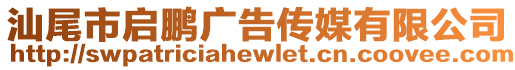 汕尾市啟鵬廣告?zhèn)髅接邢薰? style=