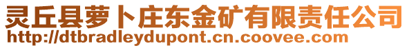 靈丘縣蘿卜莊東金礦有限責任公司