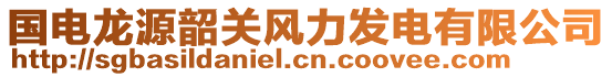 國電龍?jiān)瓷仃P(guān)風(fēng)力發(fā)電有限公司