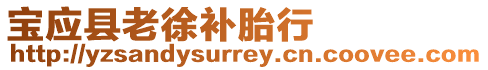 寶應縣老徐補胎行