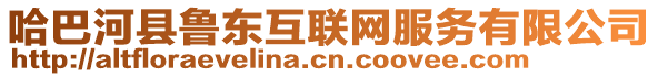 哈巴河縣魯東互聯(lián)網(wǎng)服務(wù)有限公司