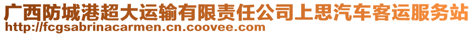 廣西防城港超大運(yùn)輸有限責(zé)任公司上思汽車(chē)客運(yùn)服務(wù)站