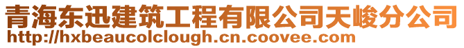 青海東迅建筑工程有限公司天峻分公司