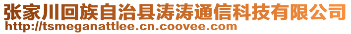 張家川回族自治縣濤濤通信科技有限公司