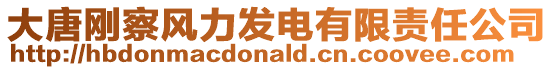 大唐剛察風力發電有限責任公司