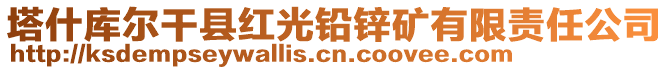 塔什庫爾干縣紅光鉛鋅礦有限責(zé)任公司