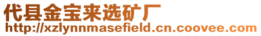 代縣金寶來選礦廠