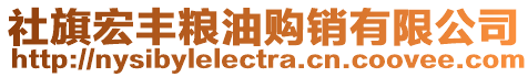 社旗宏豐糧油購銷有限公司