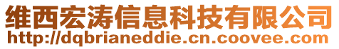 維西宏濤信息科技有限公司