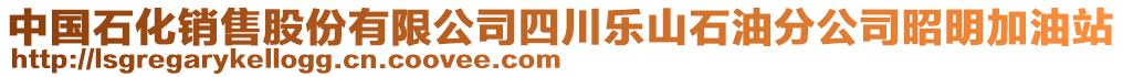 中国石化销售股份有限公司四川乐山石油分公司昭明加油站
