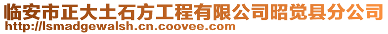 臨安市正大土石方工程有限公司昭覺縣分公司