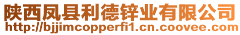 陜西鳳縣利德鋅業(yè)有限公司