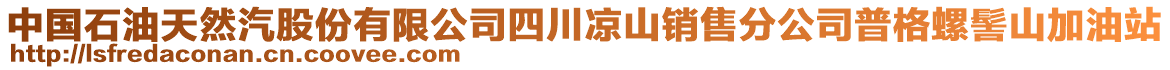 中國(guó)石油天然汽股份有限公司四川涼山銷(xiāo)售分公司普格螺髻山加油站