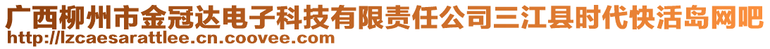 廣西柳州市金冠達(dá)電子科技有限責(zé)任公司三江縣時(shí)代快活島網(wǎng)吧