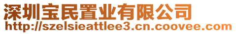 深圳寶民置業(yè)有限公司