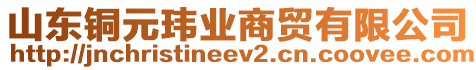 山東銅元瑋業(yè)商貿(mào)有限公司