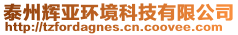 泰州輝亞環(huán)境科技有限公司