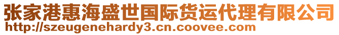 張家港惠海盛世國際貨運代理有限公司