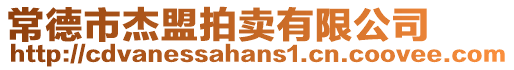 常德市杰盟拍賣有限公司